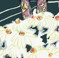 Ranch Daisys