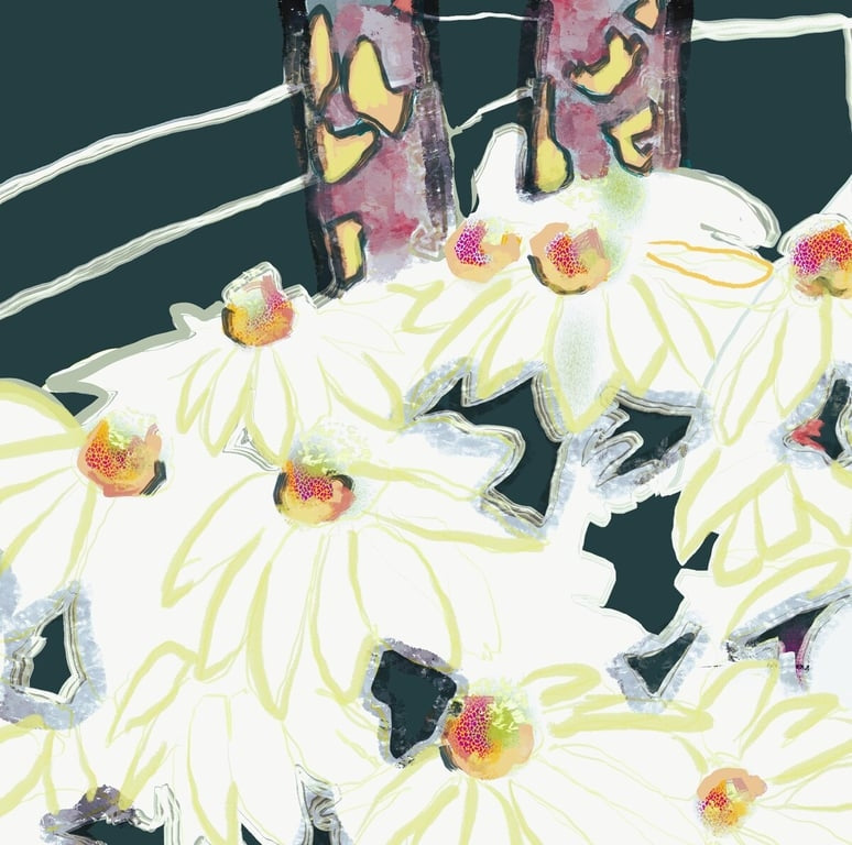 Ranch Daisys