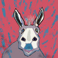 Delightful Donkey