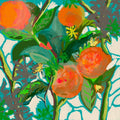 Orange Vines