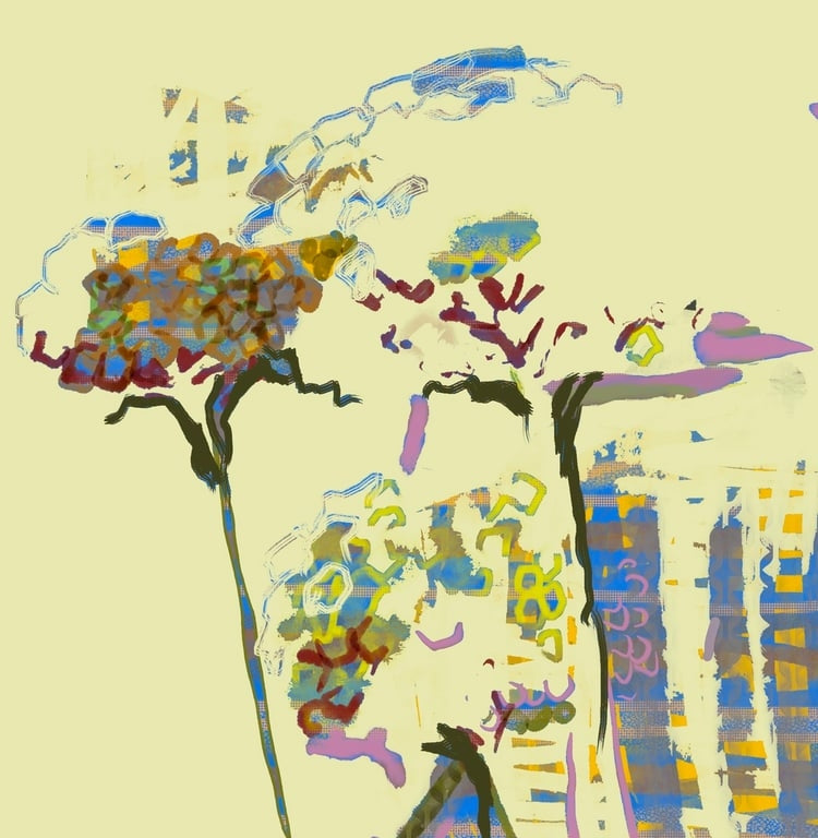 Delicates