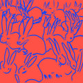 Rabbits