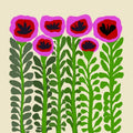 Poppies