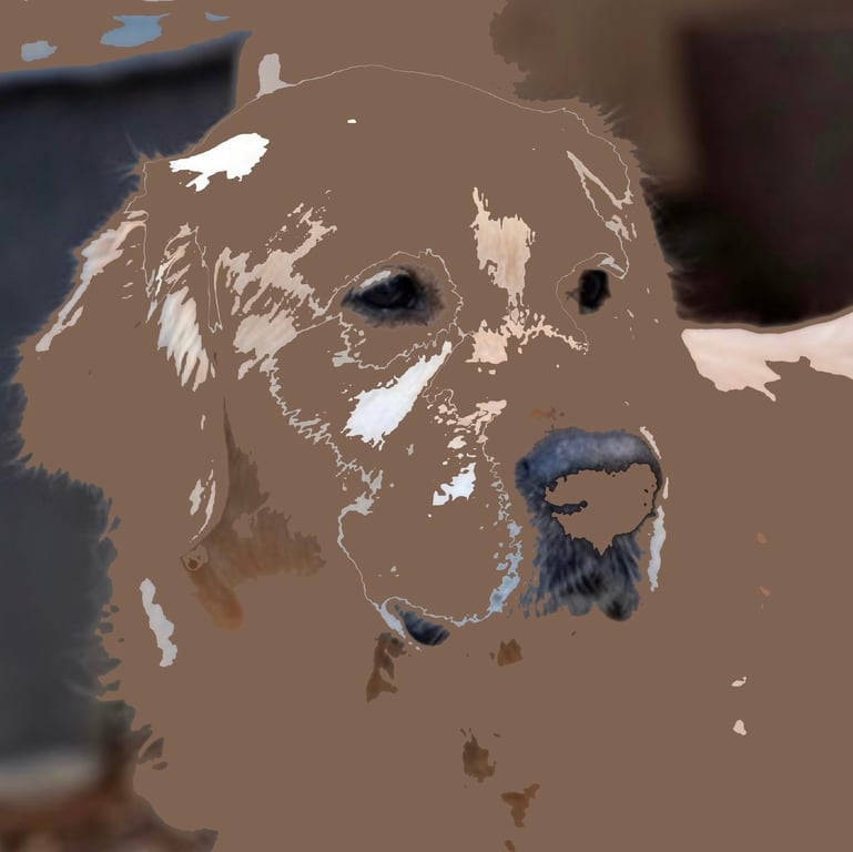 Lab Chocolate