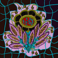 Exotica